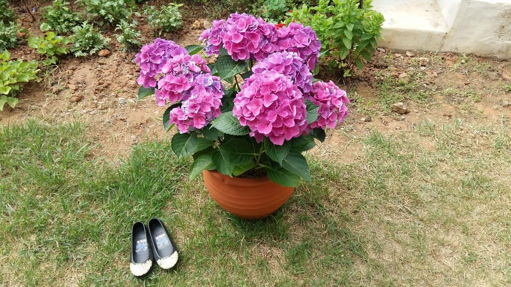 Yujeong Hanok Guesthouse Мокпо Екстериор снимка