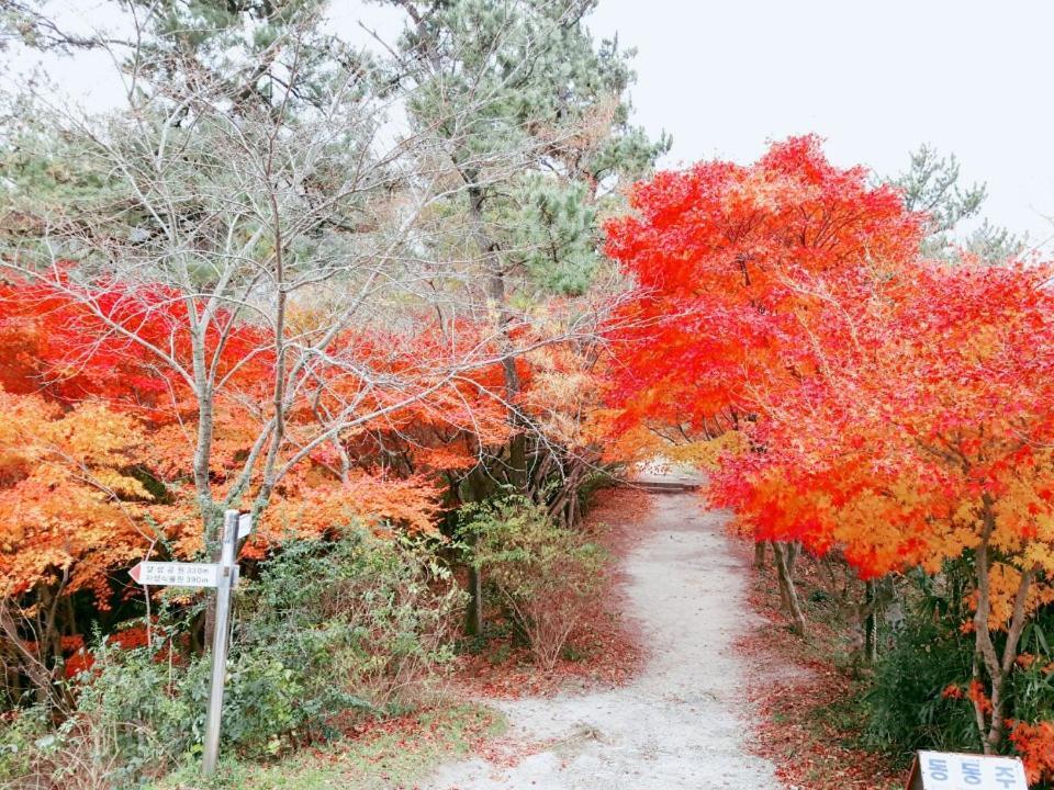 Yujeong Hanok Guesthouse Мокпо Екстериор снимка